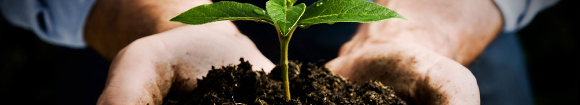 Corporate Social Responsibility